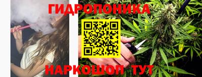 каннабис Новодвинск