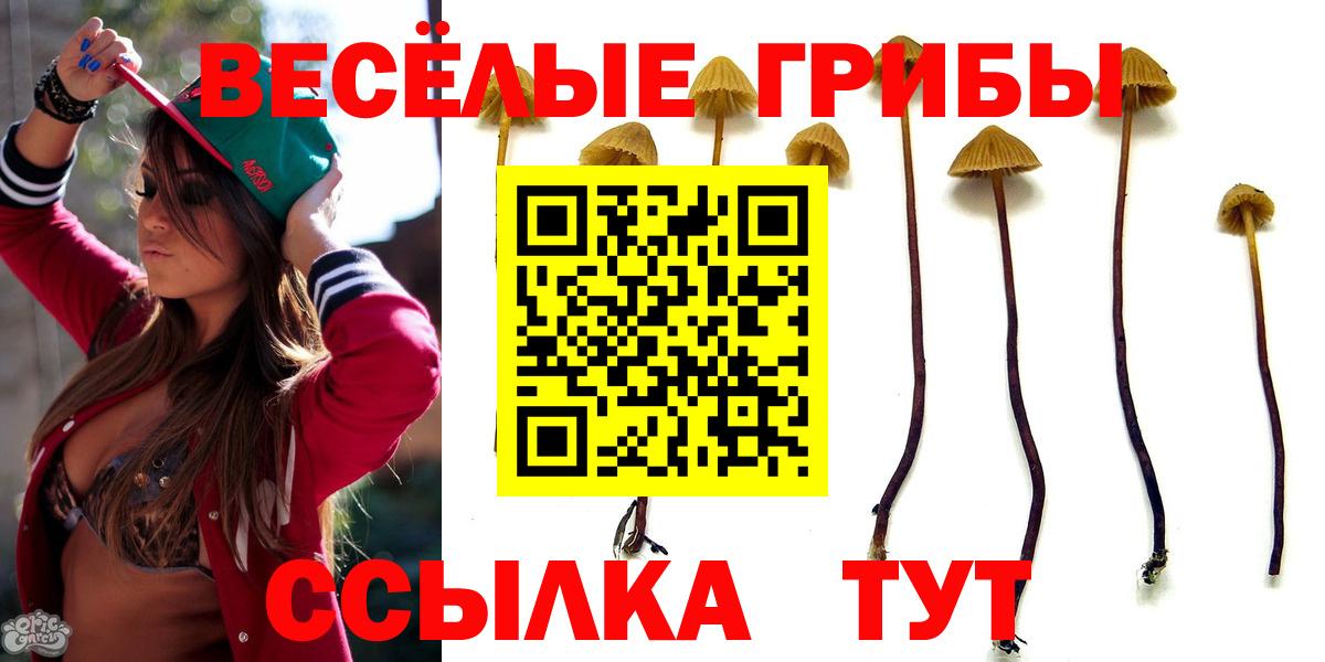 Псилоцибиновые грибы мицелий Реж